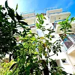 Salina Kaş